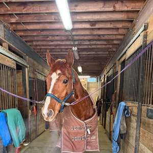 Meet your Posher, Jamie